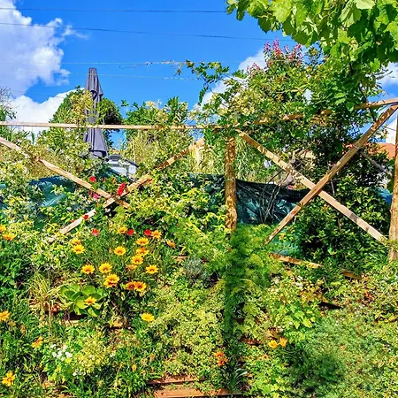 Couette-café Relax & Travel Almada