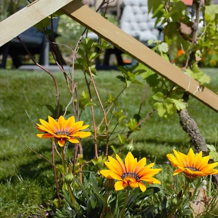 Couette-café Relax & Travel *